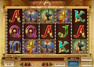 Book of Dead Play'n Go slot machine